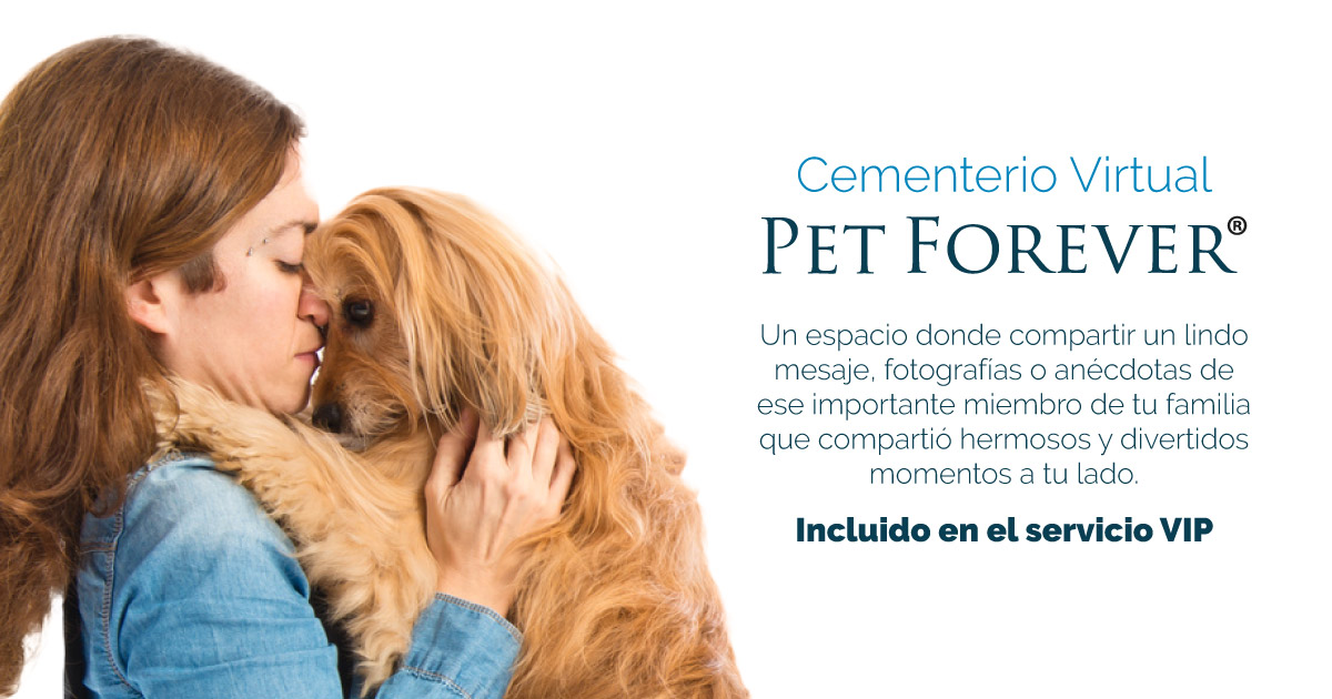 Cementerio Virtual Pet Forever